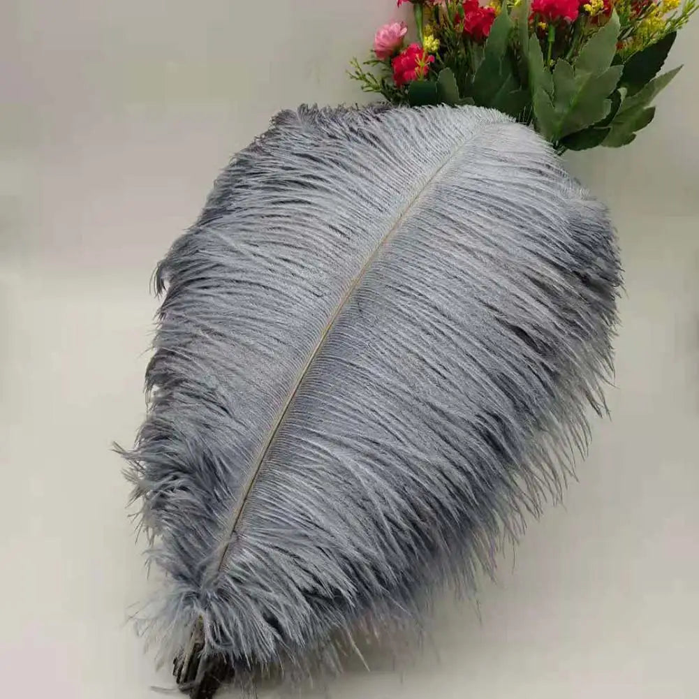 100 fine ostrich feathers in different colors