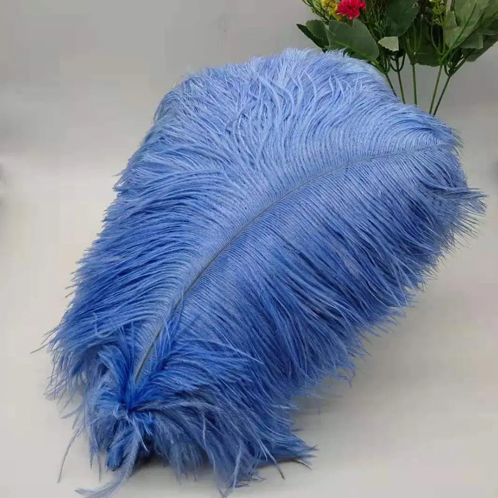100 fine ostrich feathers in different colors