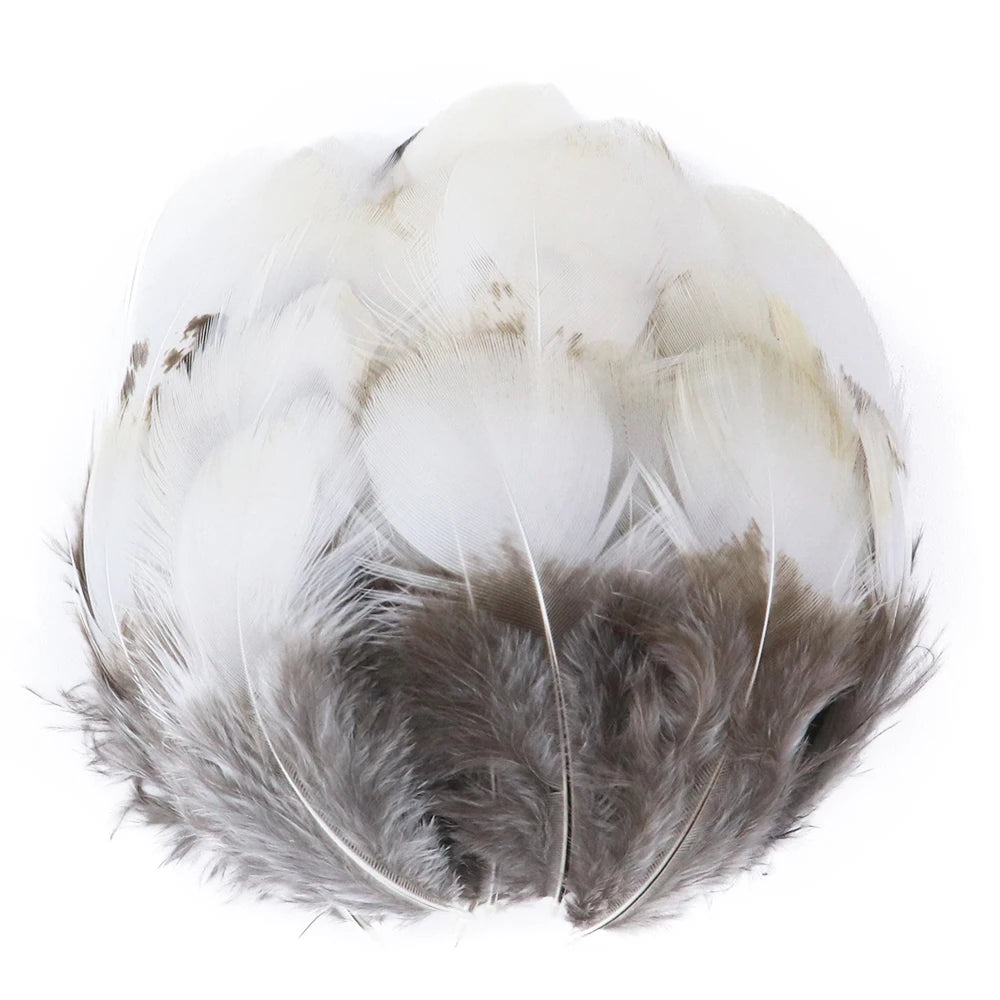 50-pack of small patterned feathers