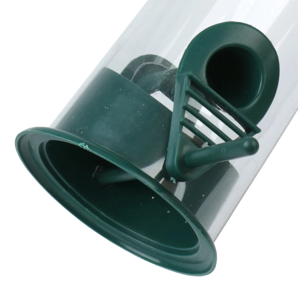 Container outdoor feeding birds.