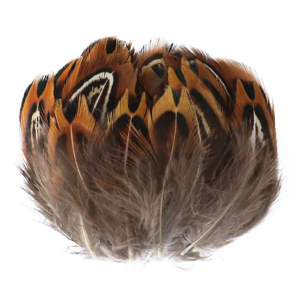 50-pack of small patterned feathers