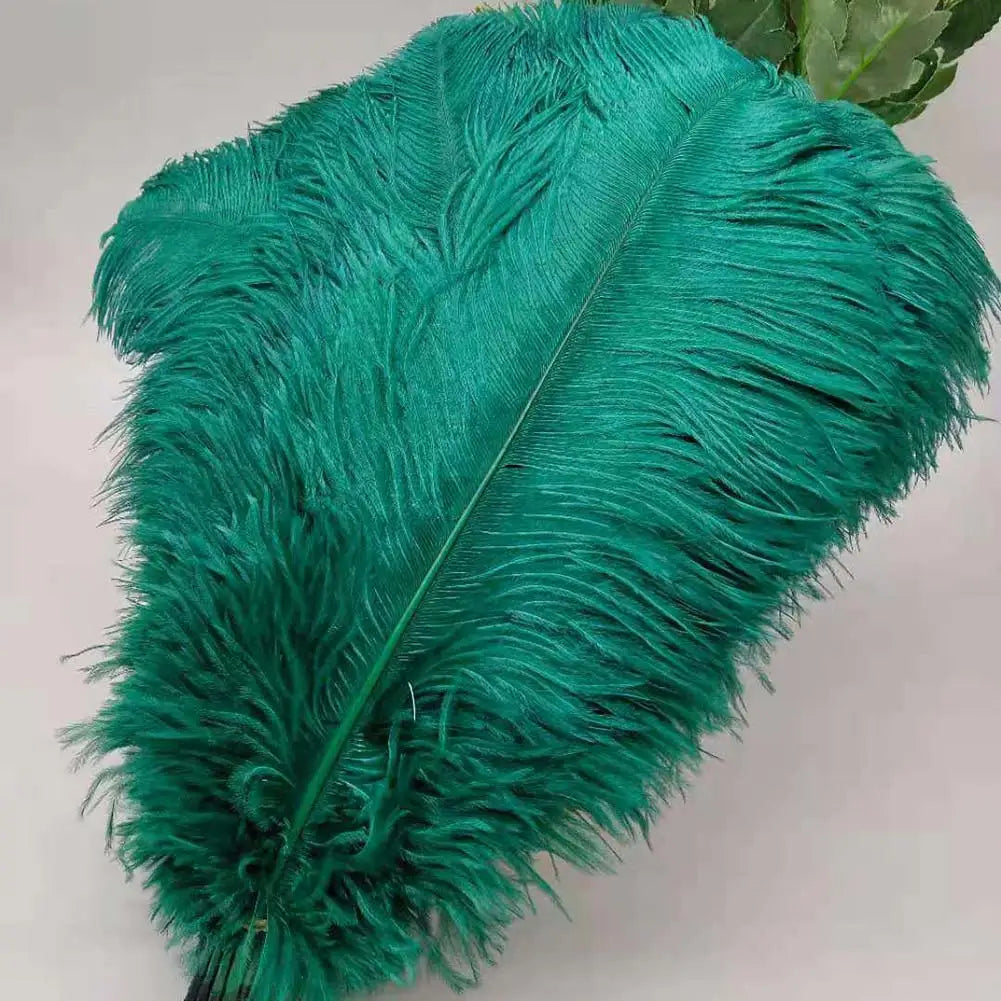 100 fine ostrich feathers in different colors