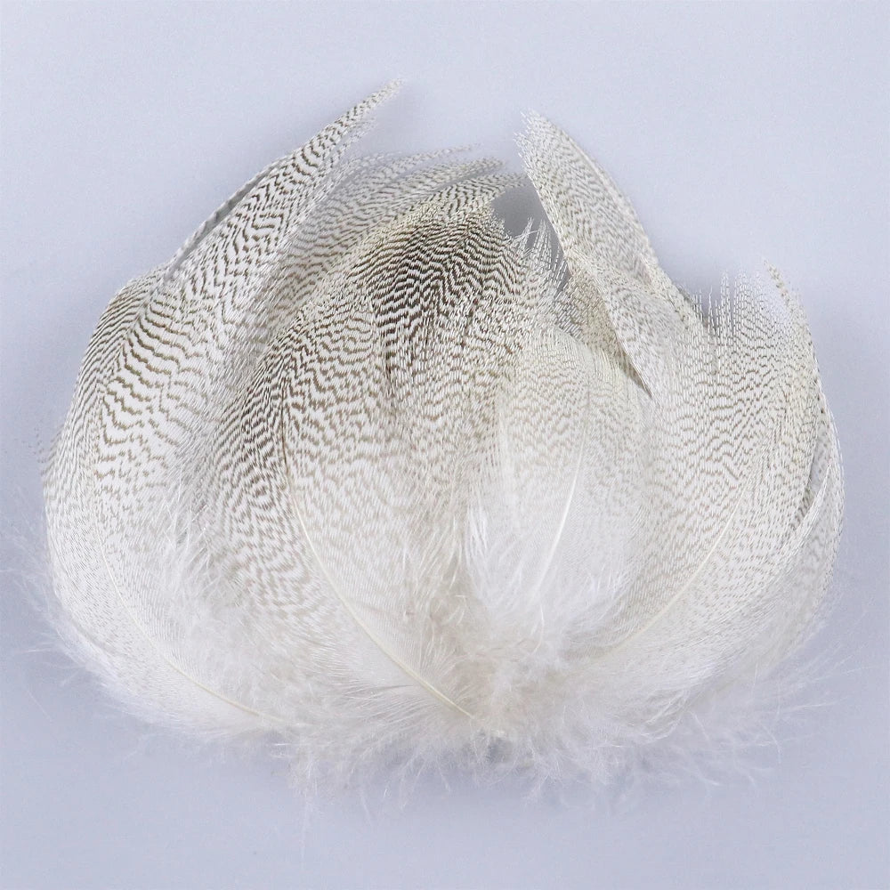50-pack of small patterned feathers