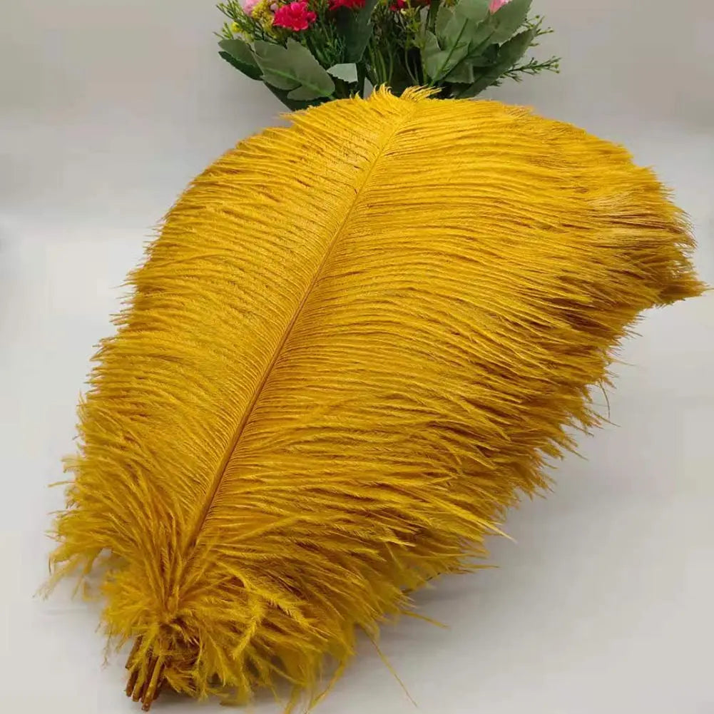 100 fine ostrich feathers in different colors
