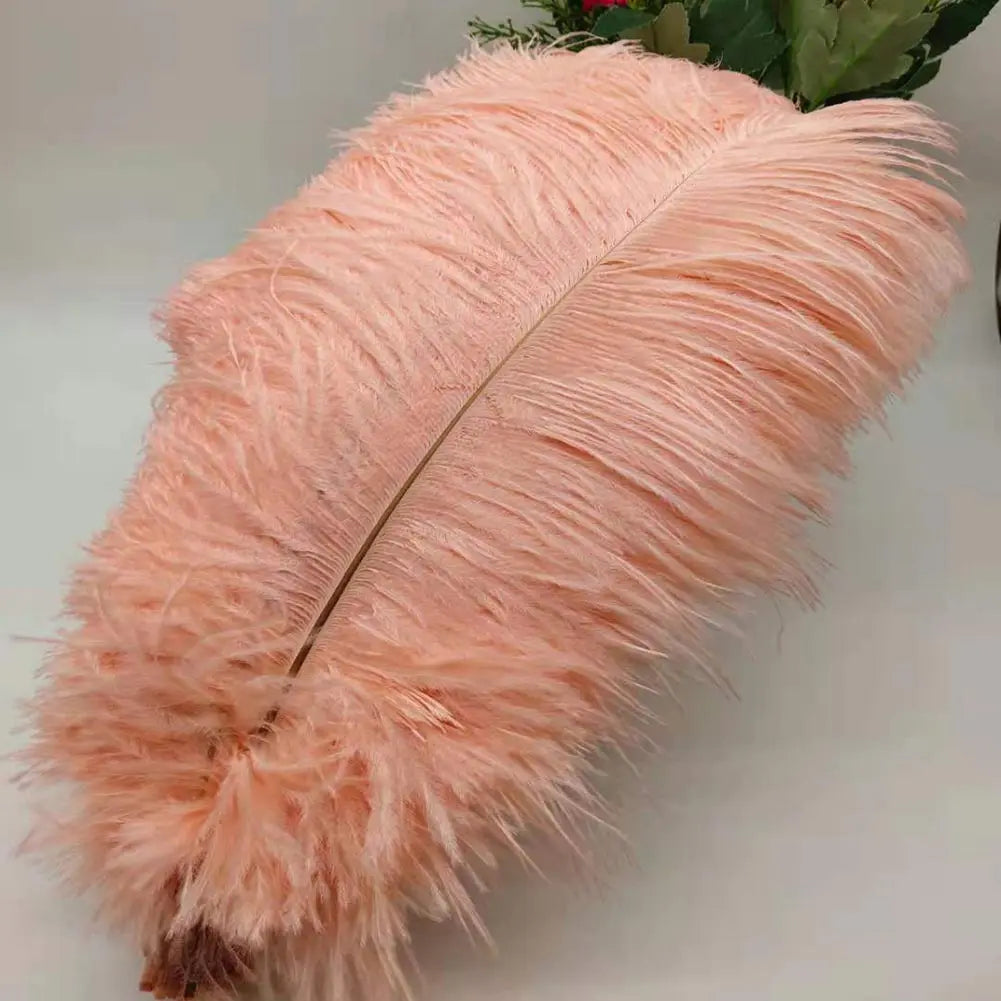 100 fine ostrich feathers in different colors