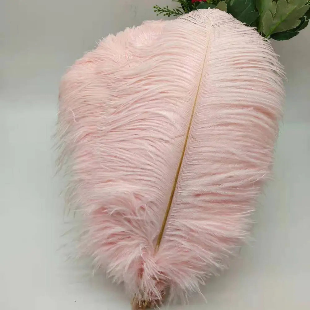 100 fine ostrich feathers in different colors