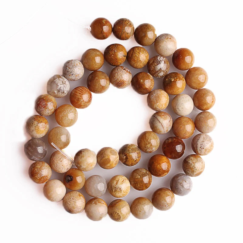Gemstone beads Coral fossil