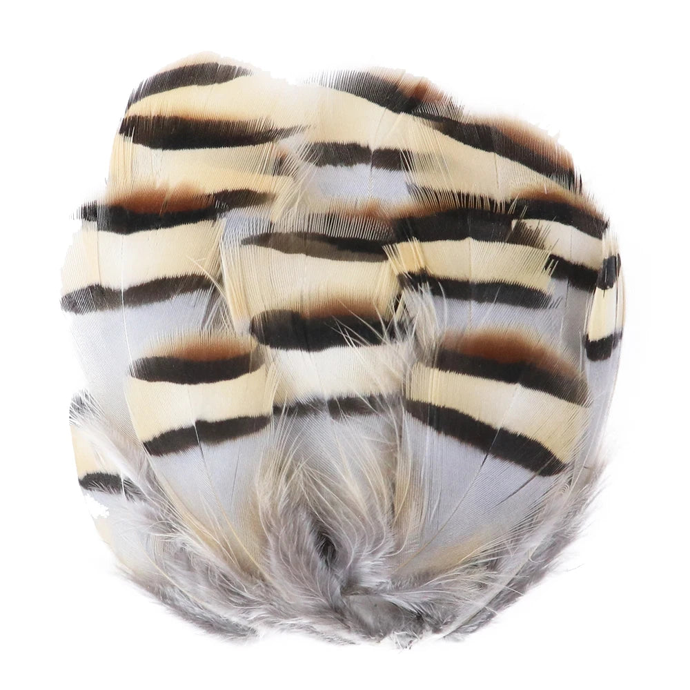 50-pack of small patterned feathers