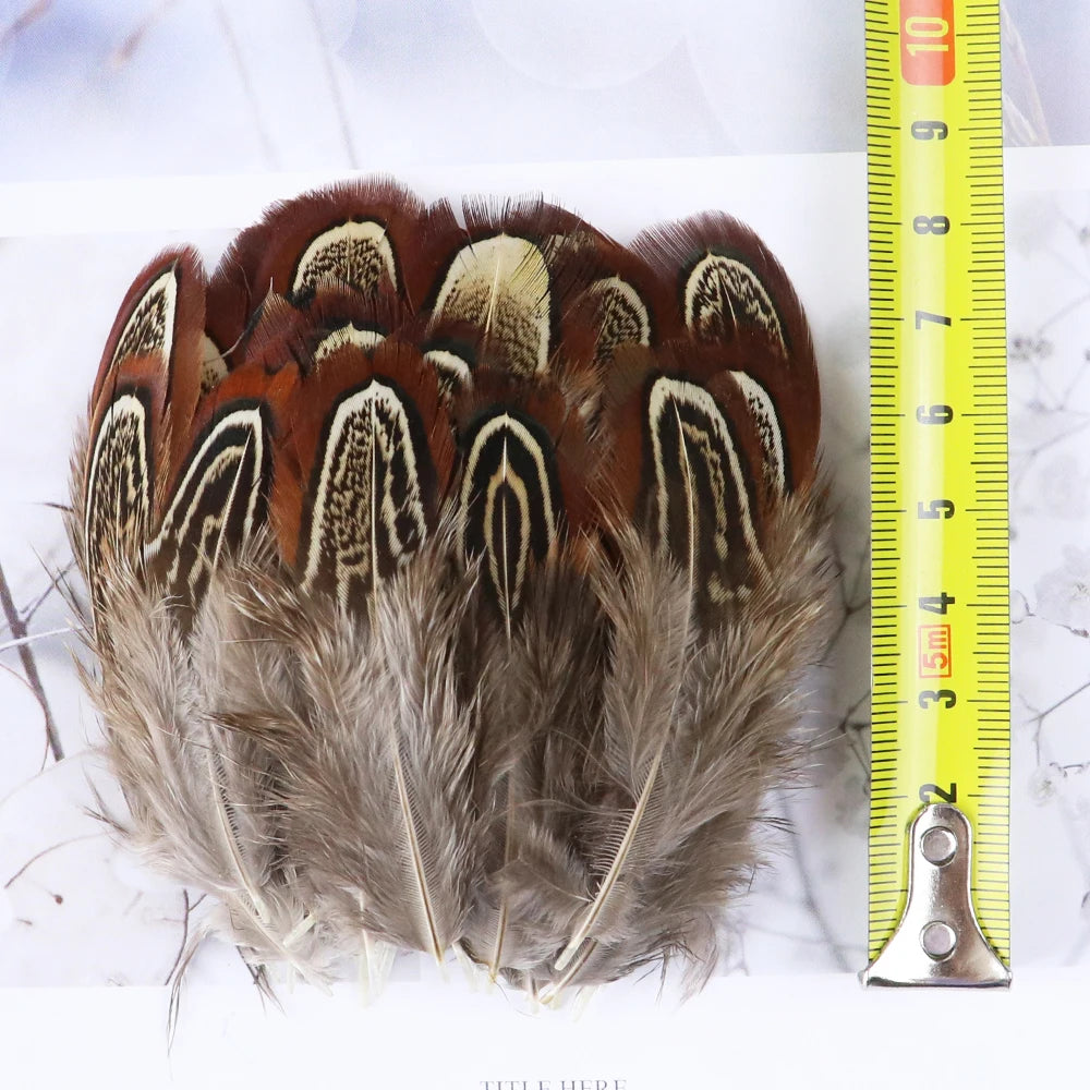 50-pack of small patterned feathers