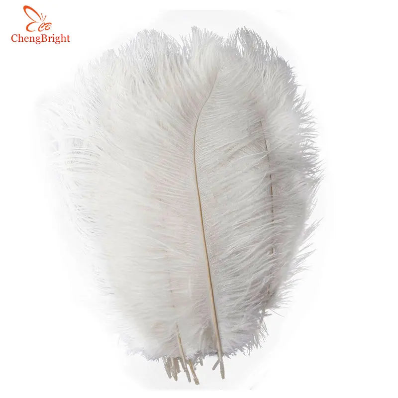 100 fine ostrich feathers in different colors