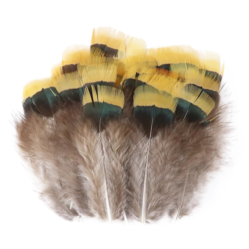 50-pack of small patterned feathers