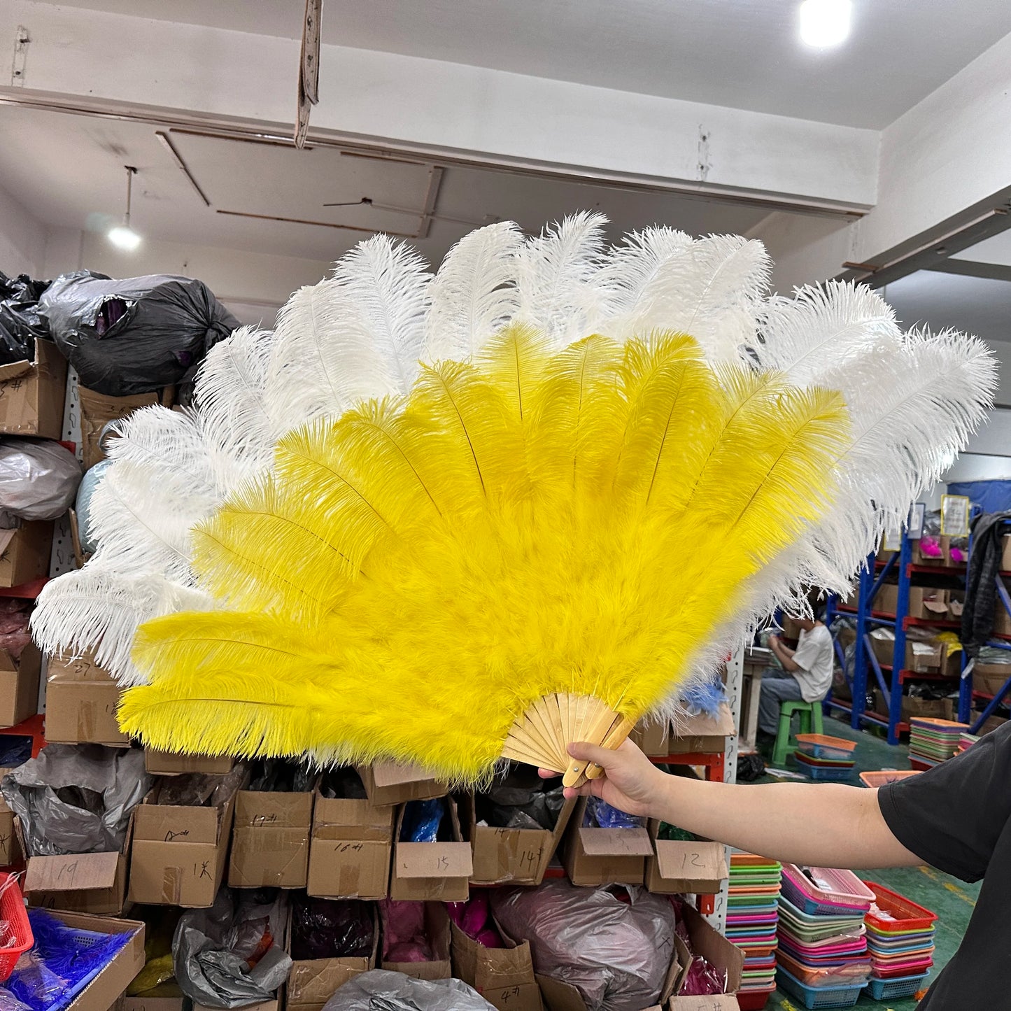 Stora karneval fjädrar