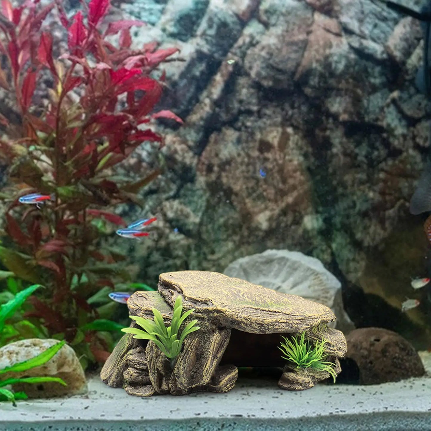 Reptil akvarium dekorativ inredning/ gömställe