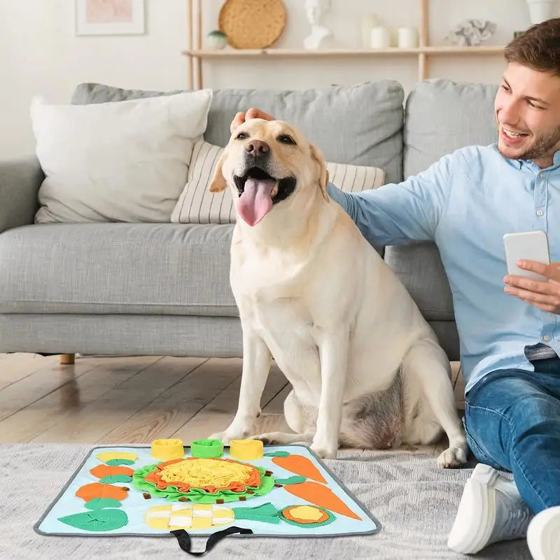 Sök Matta för hund och kanin