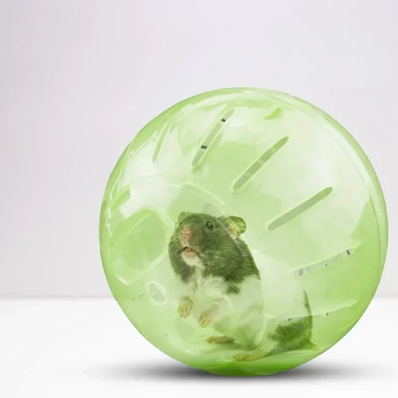 Spring boll Hamster