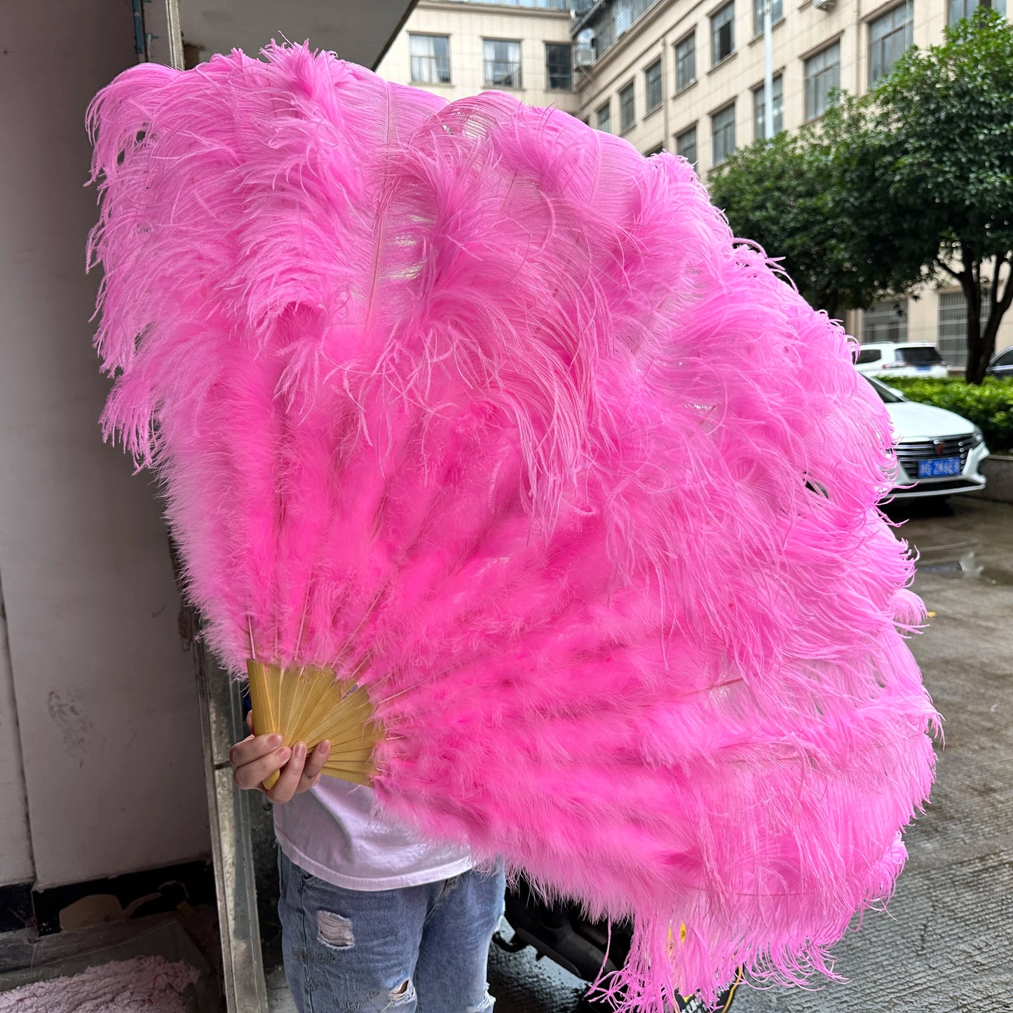 Stora karneval fjädrar