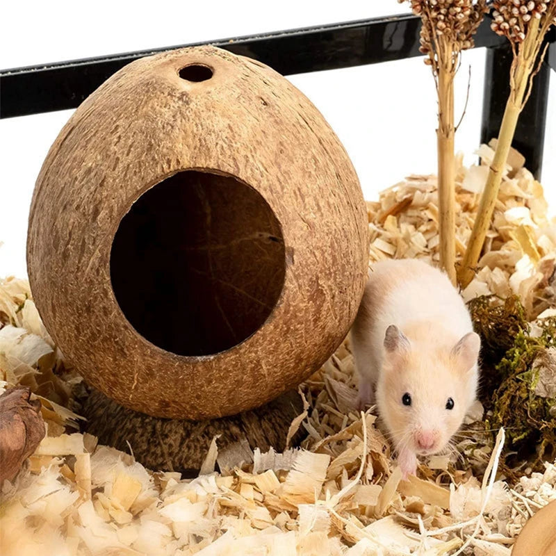 Hamster kokosnöt hus