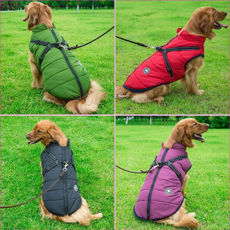 Vattentät vinter jacka hund