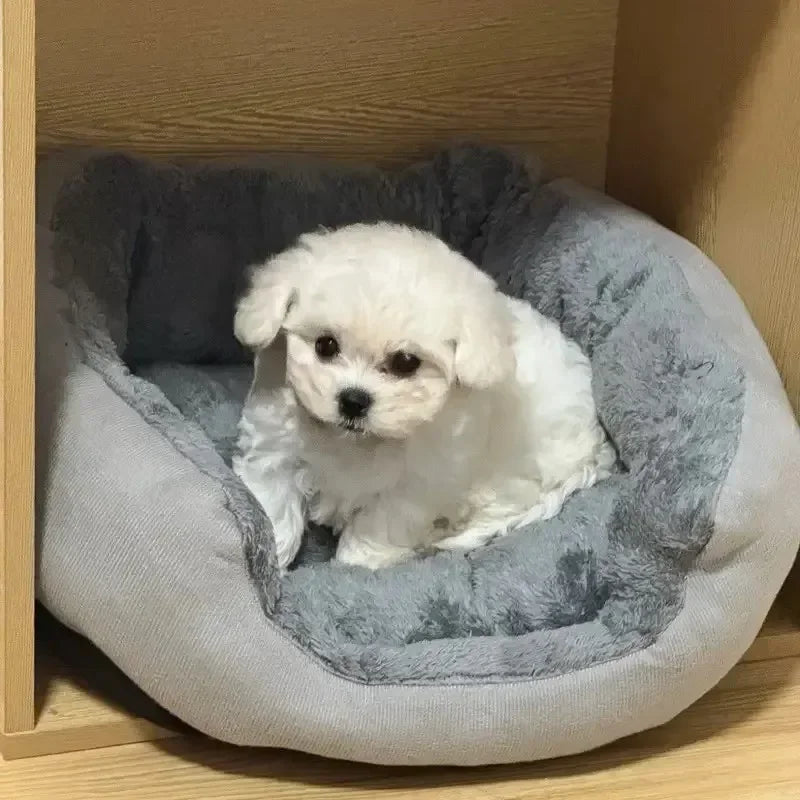 Extra mjuk varm hund/katt säng