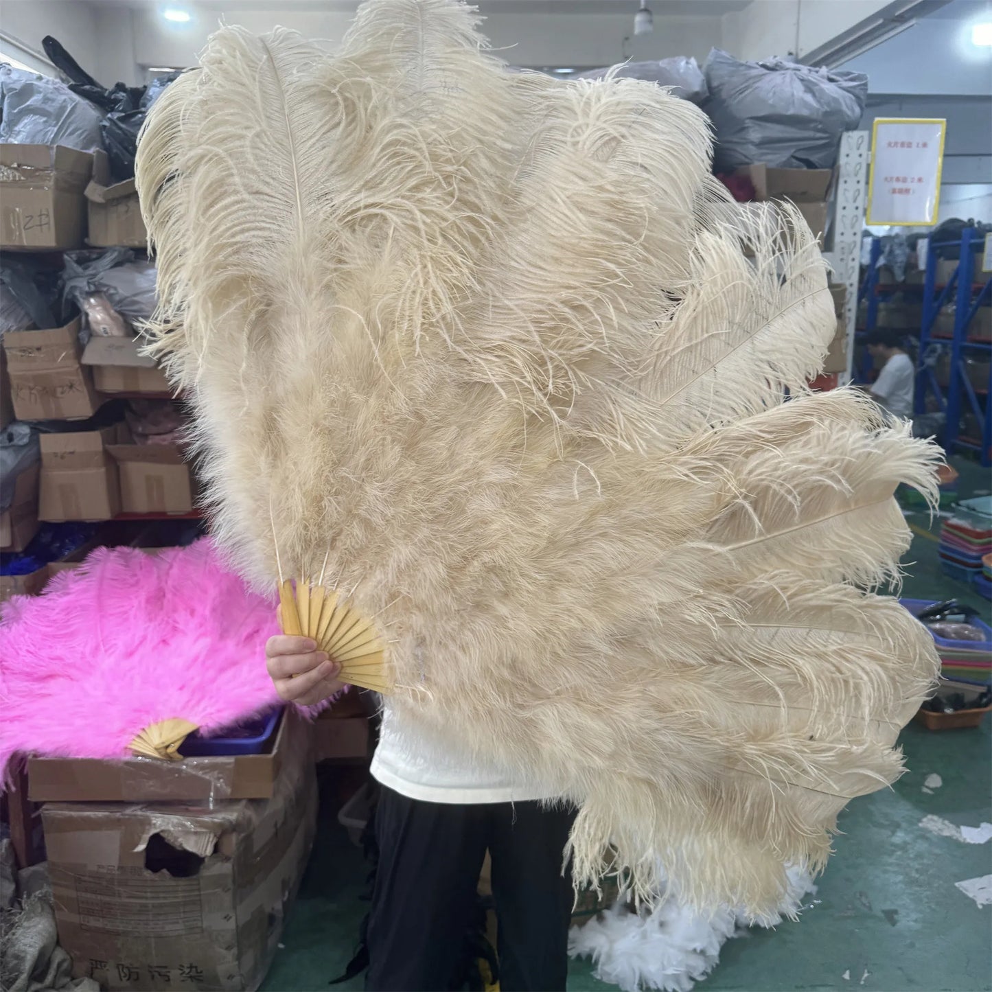 Stora karneval fjädrar