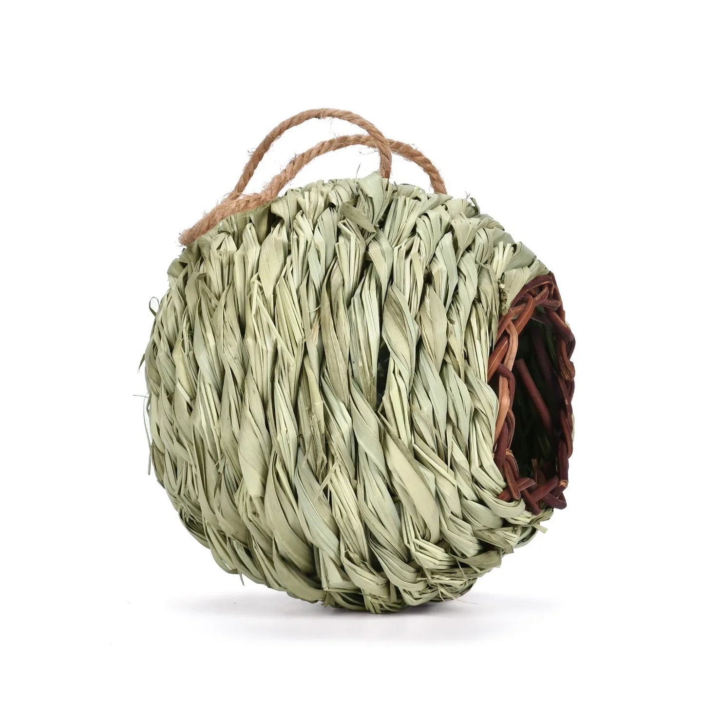 Fågel bo