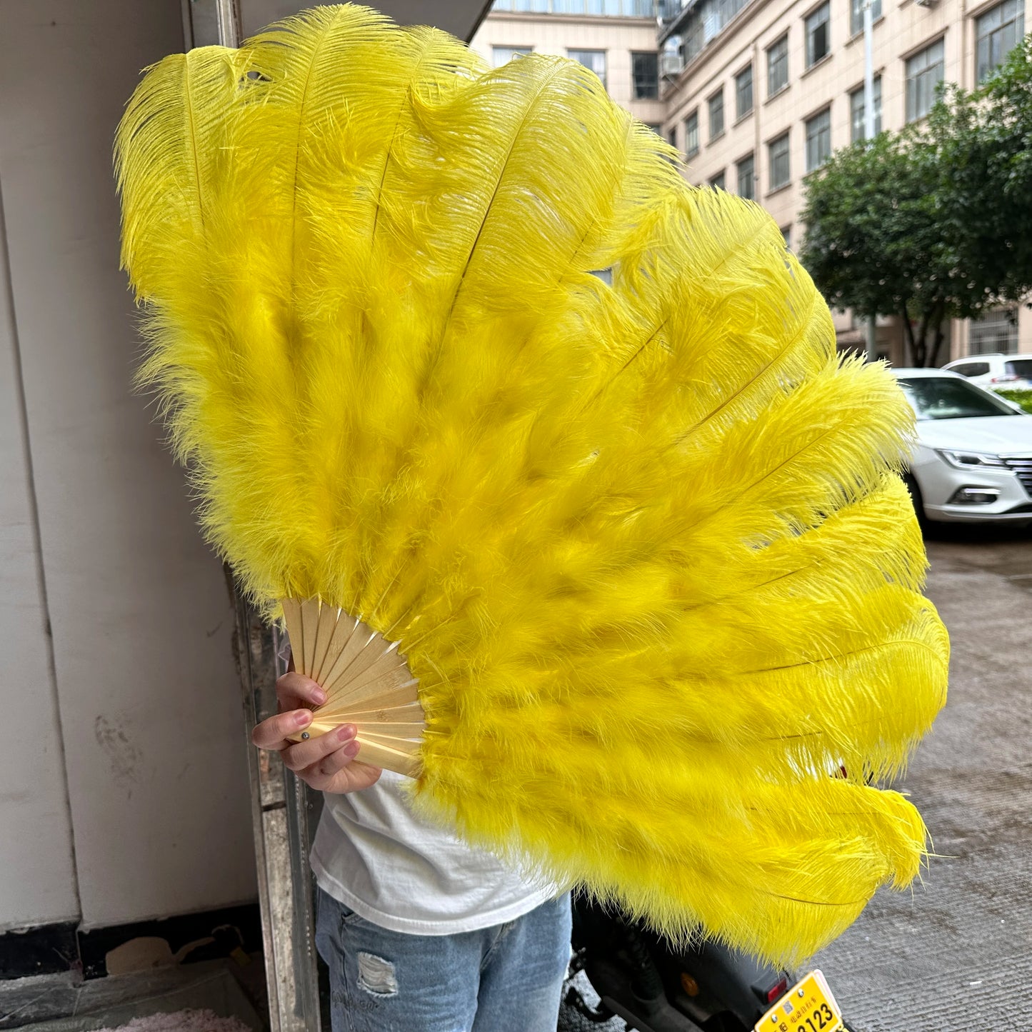 Stora karneval fjädrar