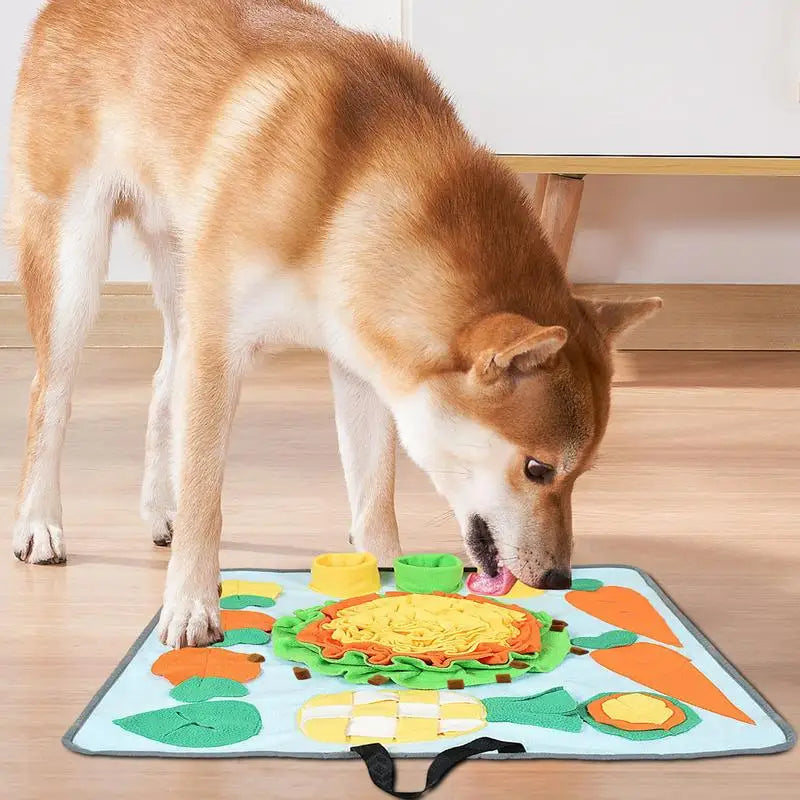 Sök Matta för hund och kanin