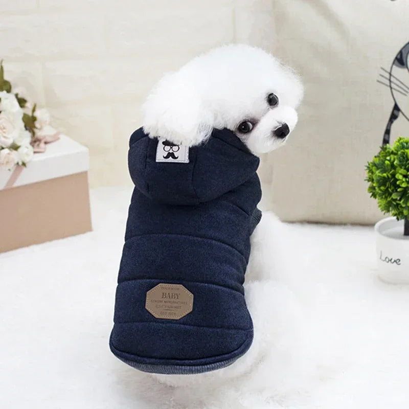Vinter jacka vadderad hund