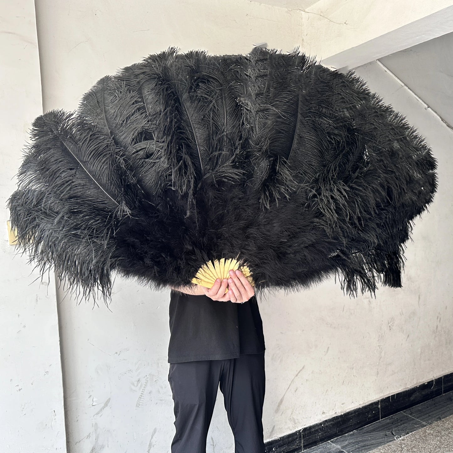 Stora karneval fjädrar