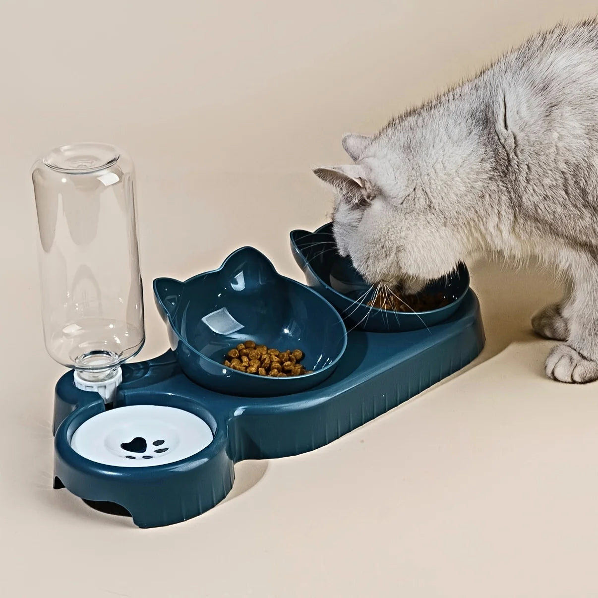 Vatten hållare med matskålar katt