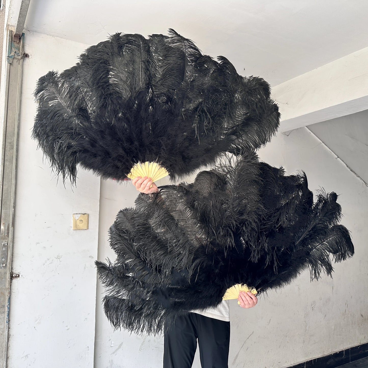 Stora karneval fjädrar