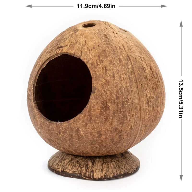 Hamster kokosnöt hus