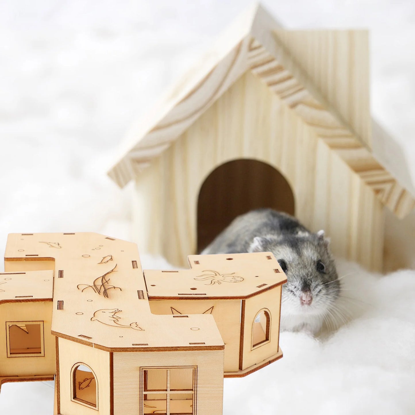 Hamster Tunnel/ hus