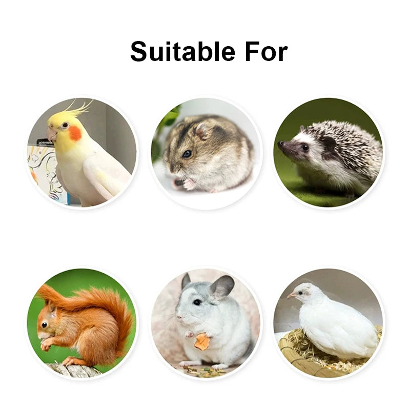 Bird feeding bowls