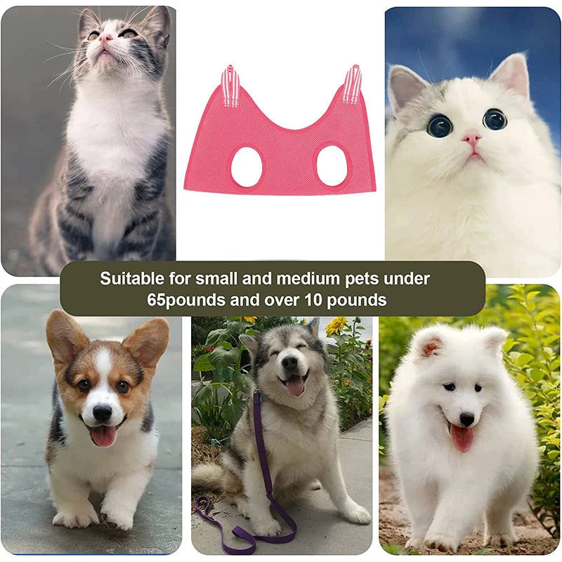 Sele hund för klo klippning