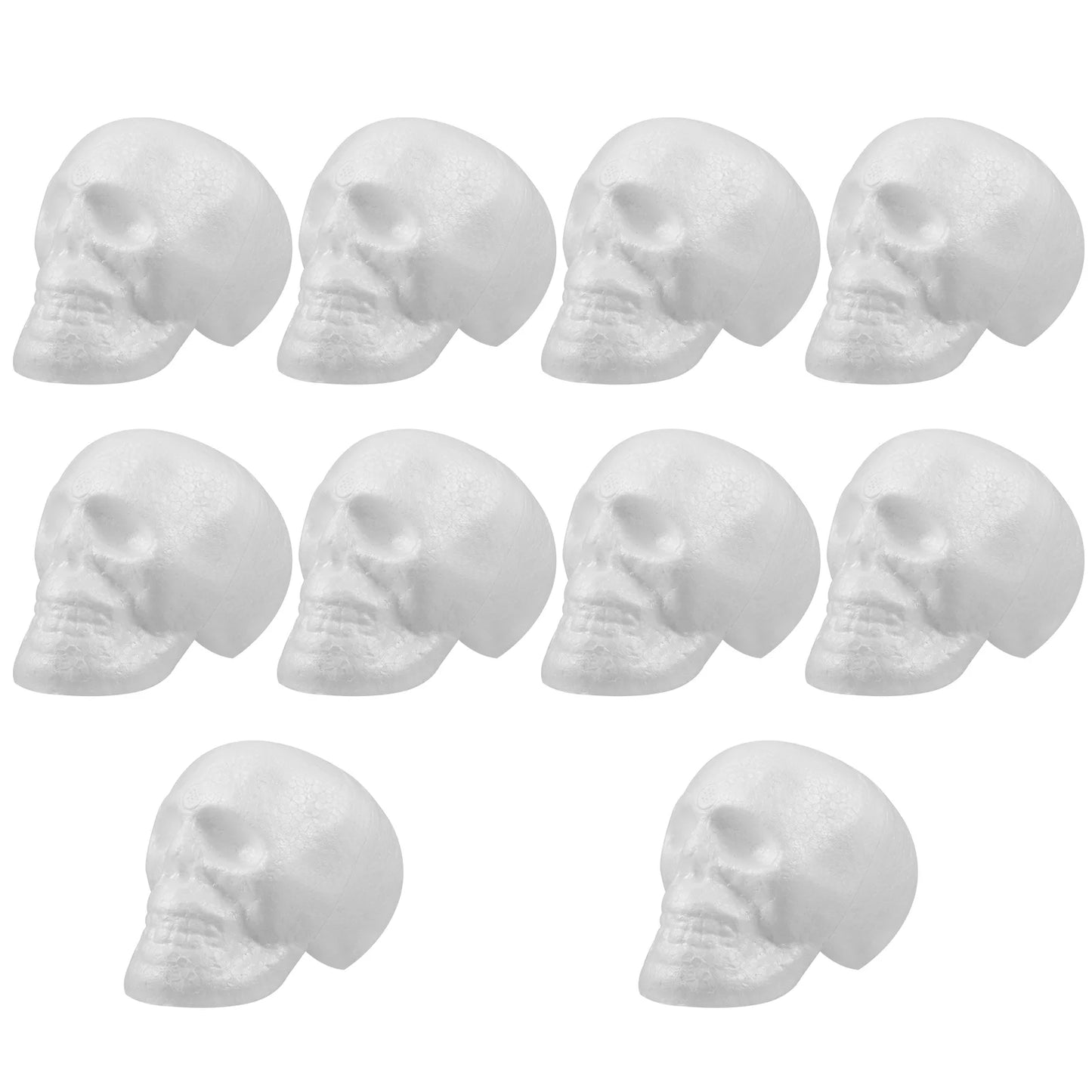 Styrofoam skull