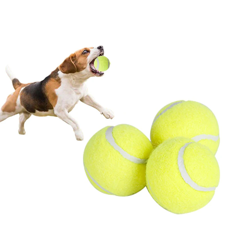 Automatisk boll kastare för din hund