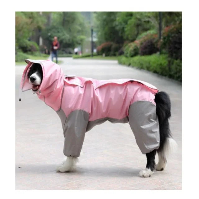 Regn jacka med ben för stor hund