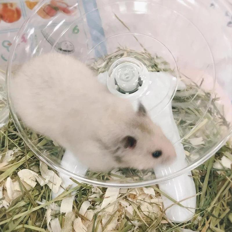 Motion fat Hamster