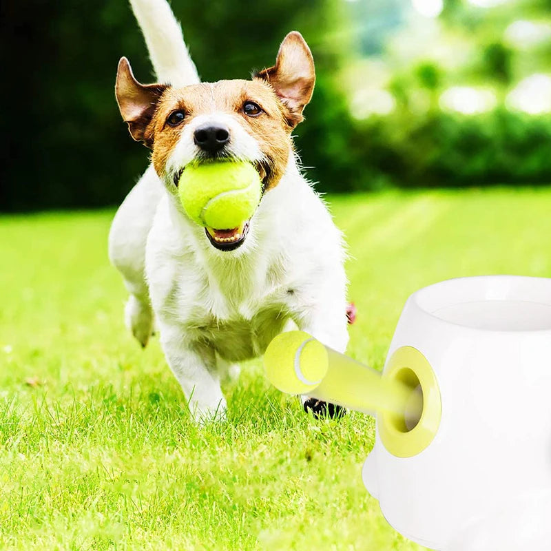 Automatisk boll kastare för din hund
