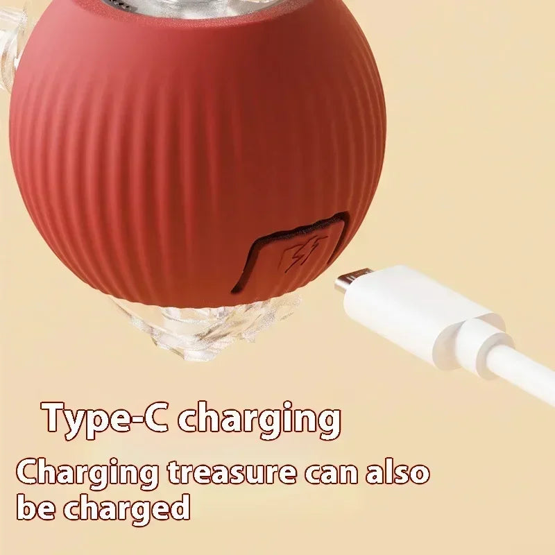 Elektrisk boll katt leksak