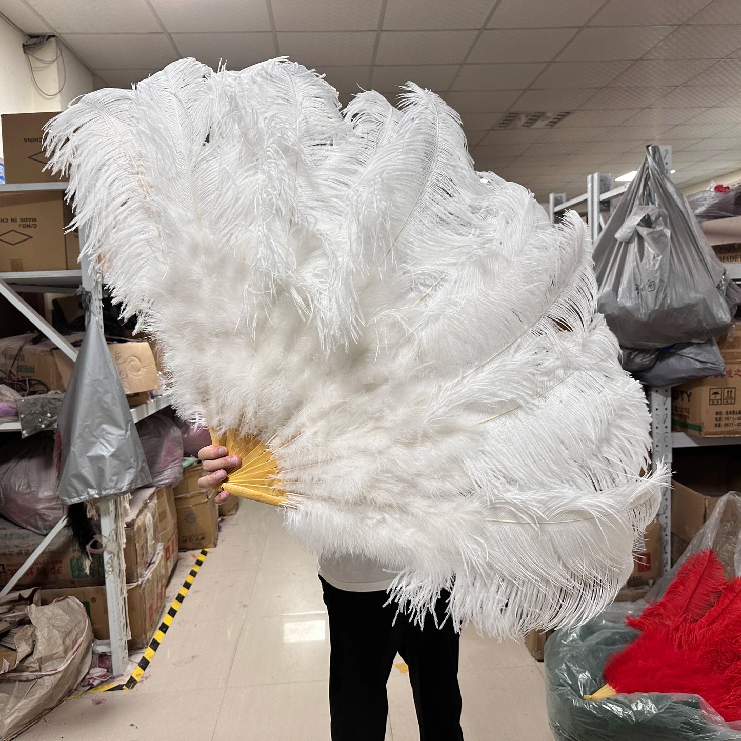 Stora karneval fjädrar