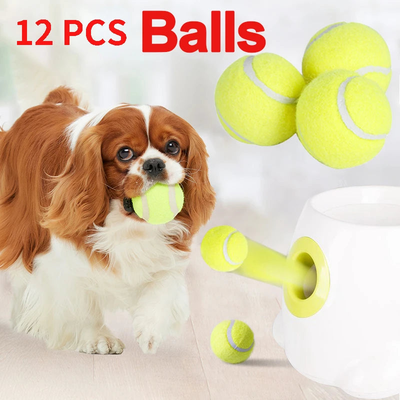 Automatisk boll kastare för din hund