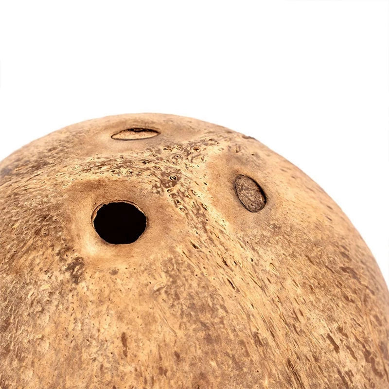Hamster kokosnöt hus