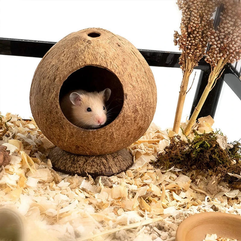 Hamster kokosnöt hus