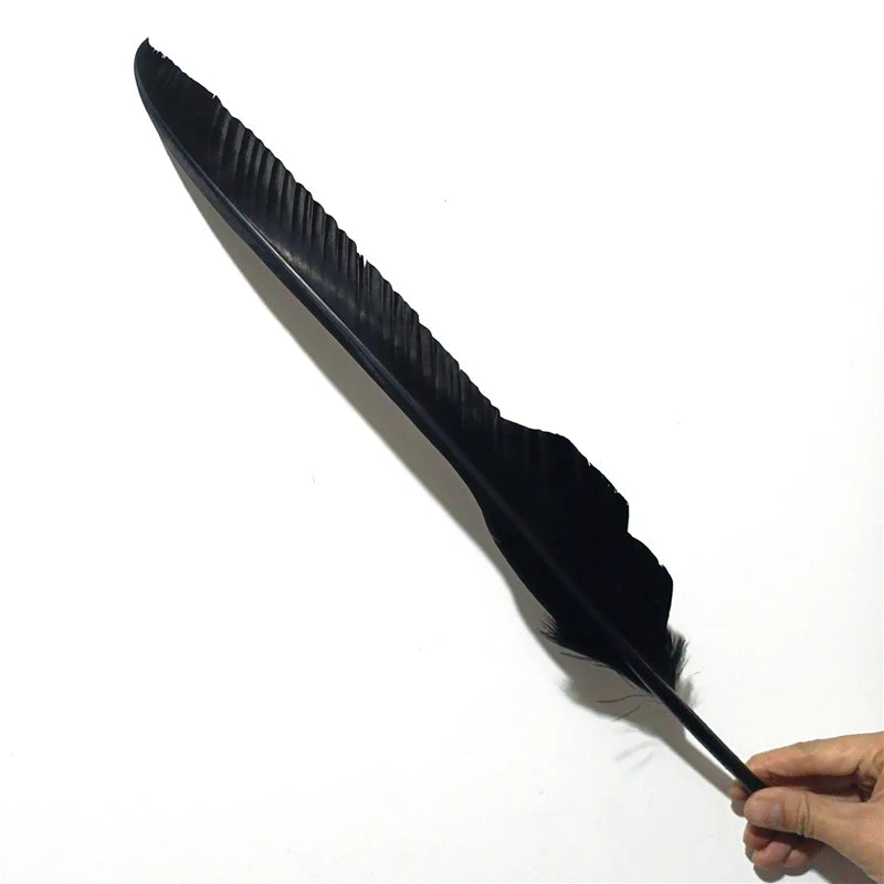 Örn fjädrar 40-60cm