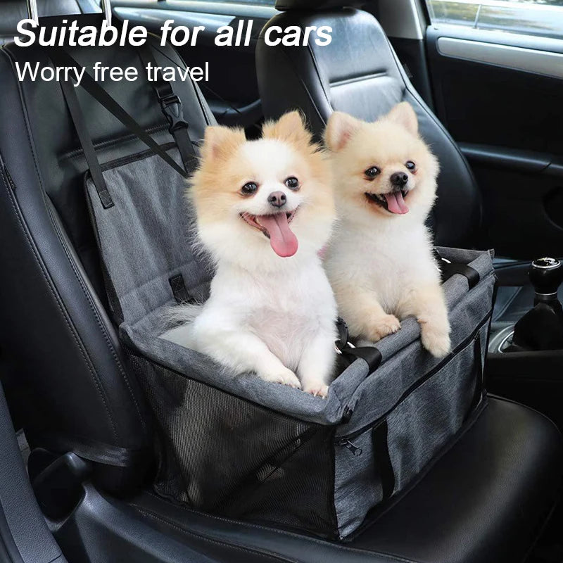 Car seat with belt in 8 different colors
