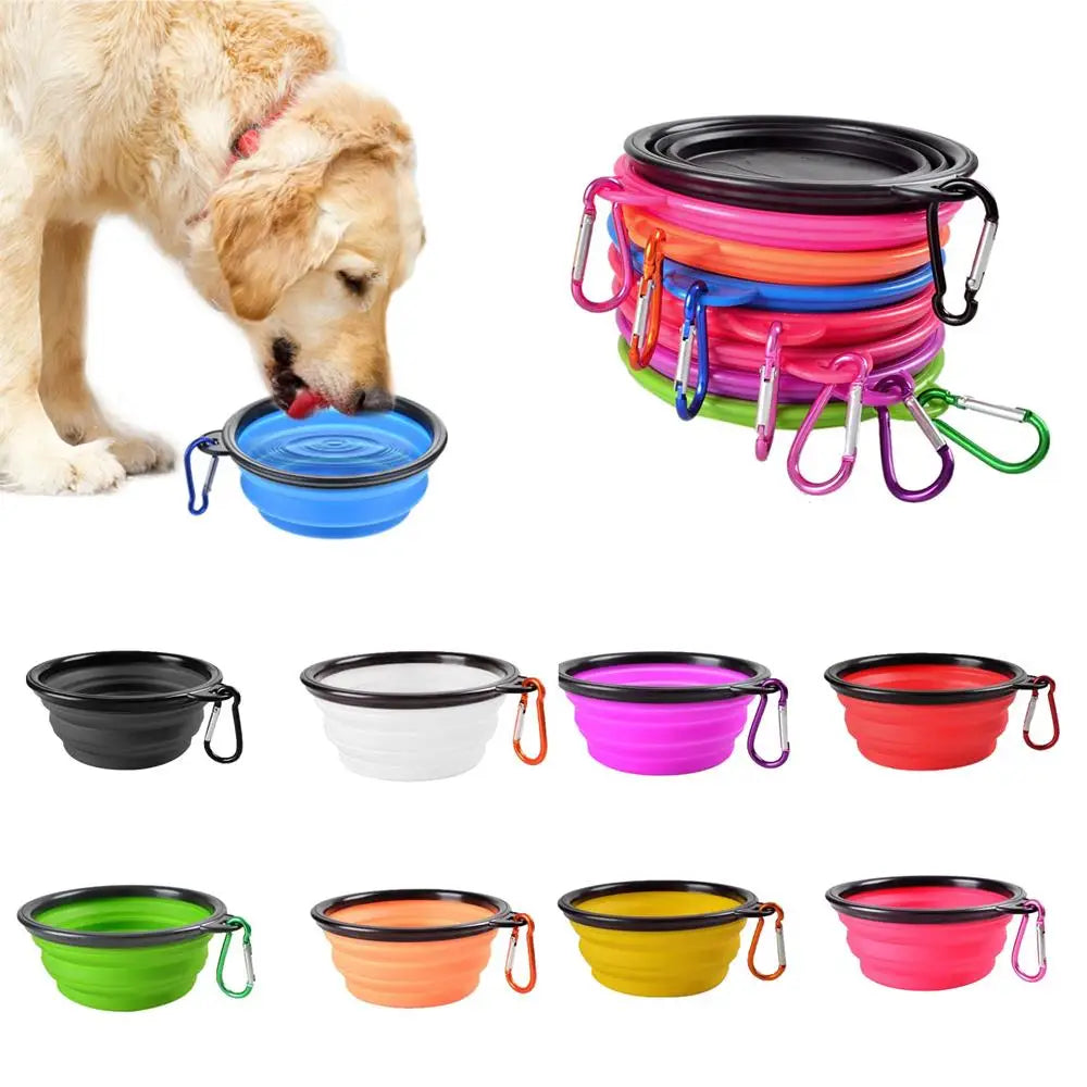 Vatten skål hund utomhus