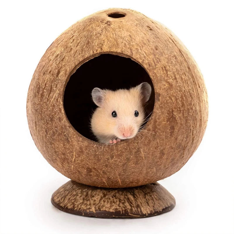 Hamster kokosnöt hus