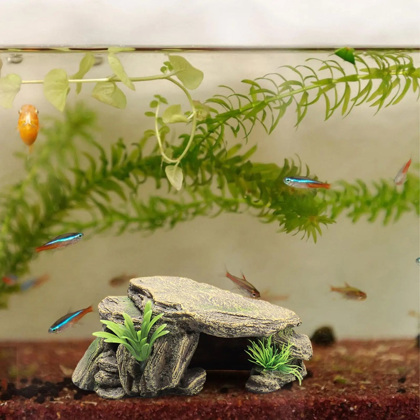 Reptil akvarium dekorativ inredning/ gömställe